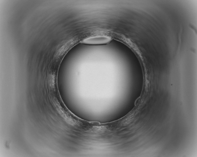 X0000103260057200808291227