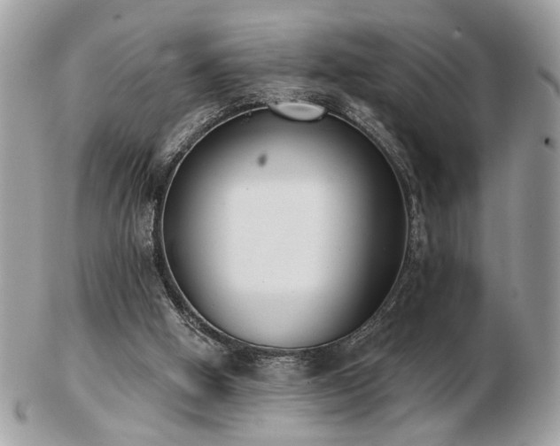 X0000103260058200808291227