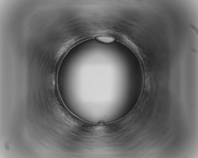 X0000103260059200808291227