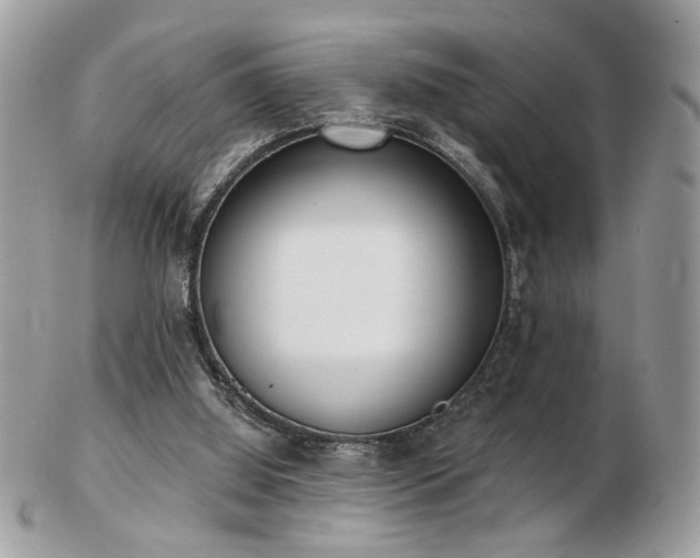 X0000103260060200808291227