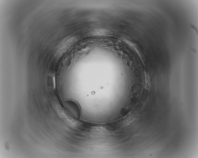 X0000103260061200808291227