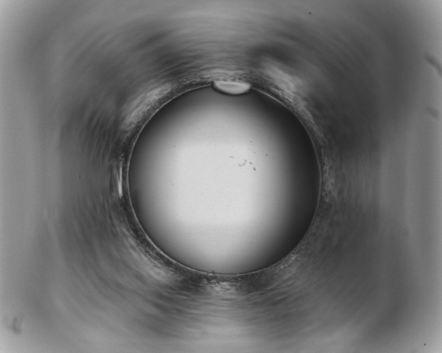 X0000103260062200808291227