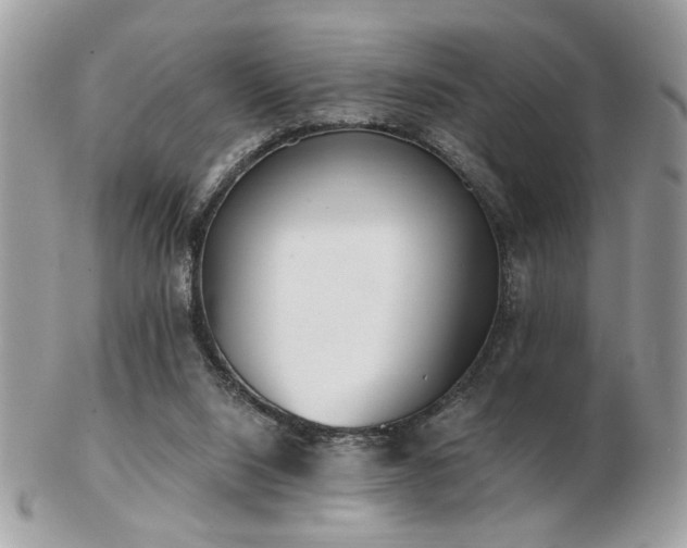 X0000103260064200808291227