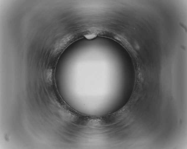 X0000103260066200808291227