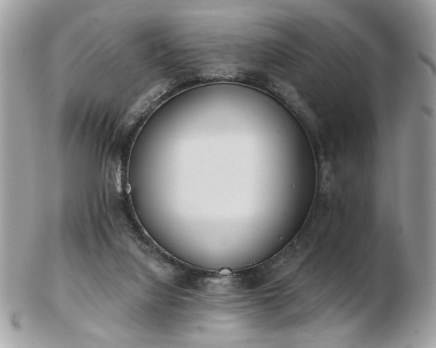 X0000103260068200808291227