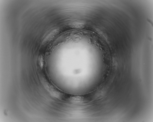 X0000103260069200808291227