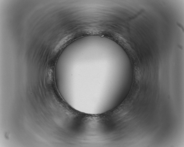 X0000103260071200808291227