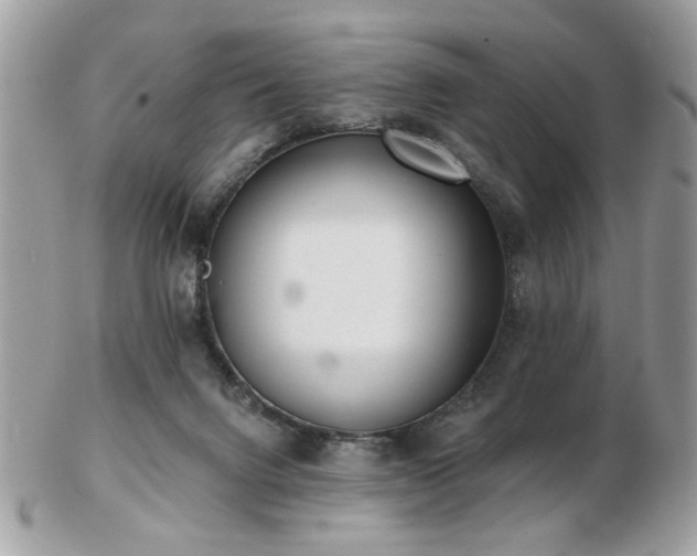 X0000103260072200808291227