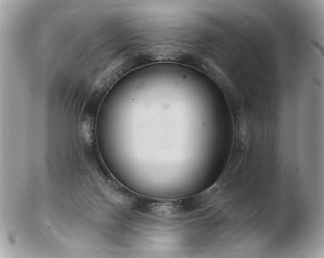 X0000103260074200808291227