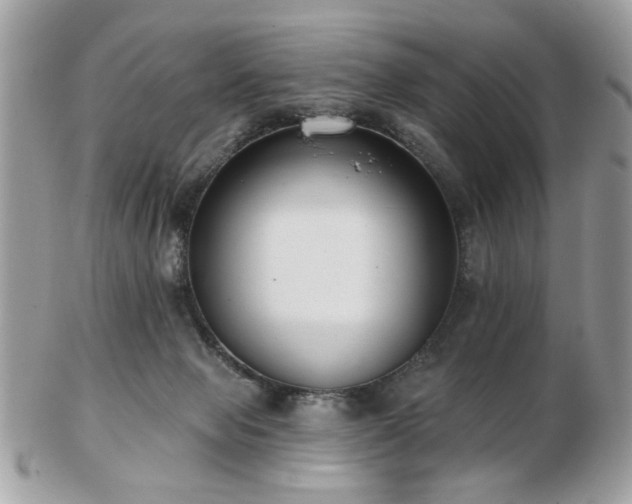 X0000103260077200808291227