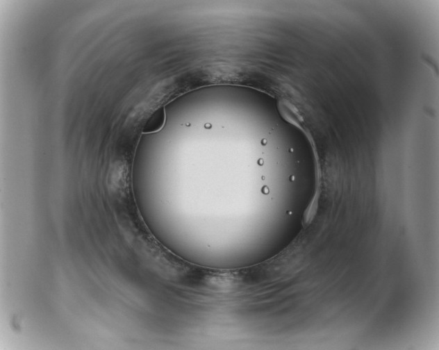 X0000103260079200808291227