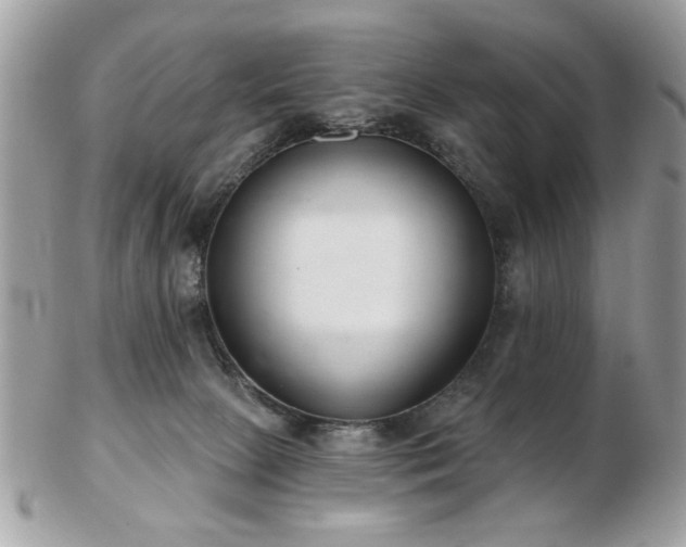 X0000103260081200808291227