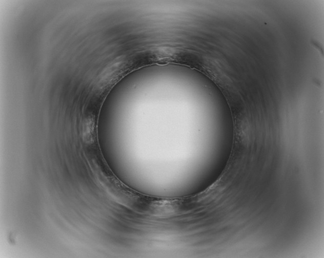 X0000103260082200808291227