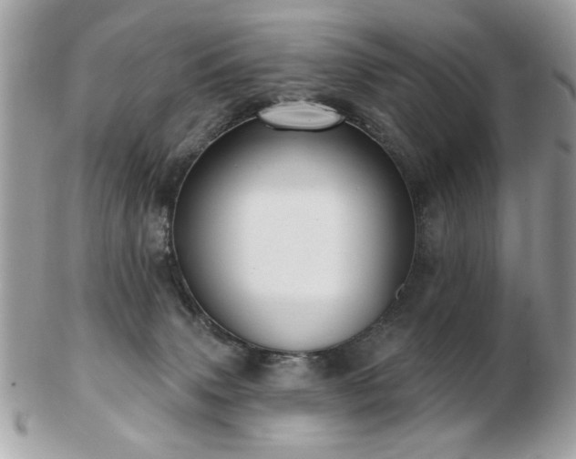 X0000103260083200808291227