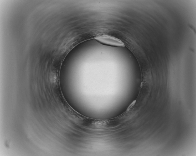 X0000103260084200808291227