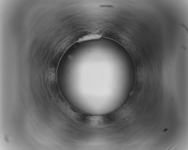 X0000103260085200808291227