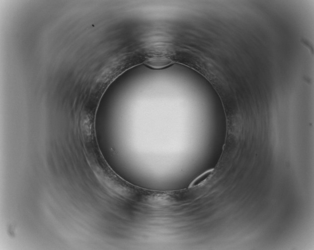 X0000103260086200808291227