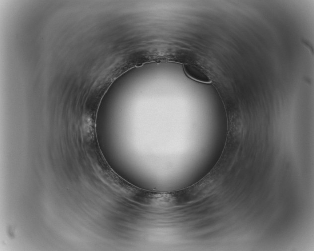 X0000103260087200808291227