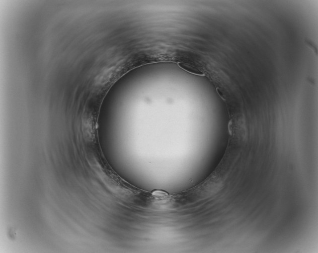 X0000103260088200808291227