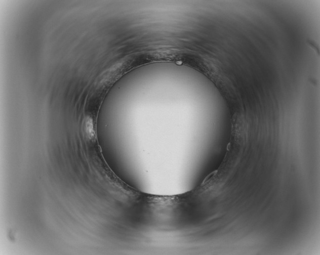 X0000103260089200808291227