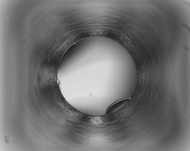 X0000103260091200808291227