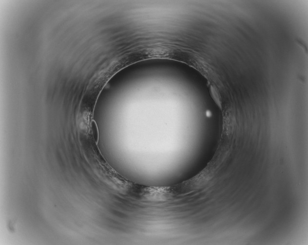 X0000103260093200808291227