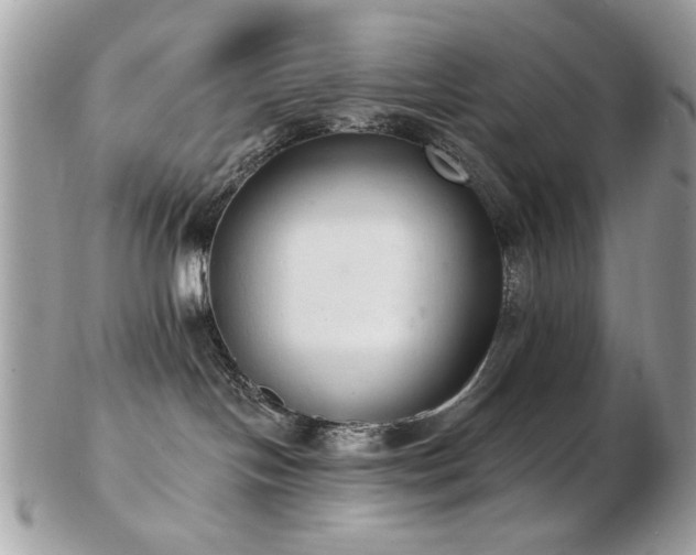 X0000103260094200808291227