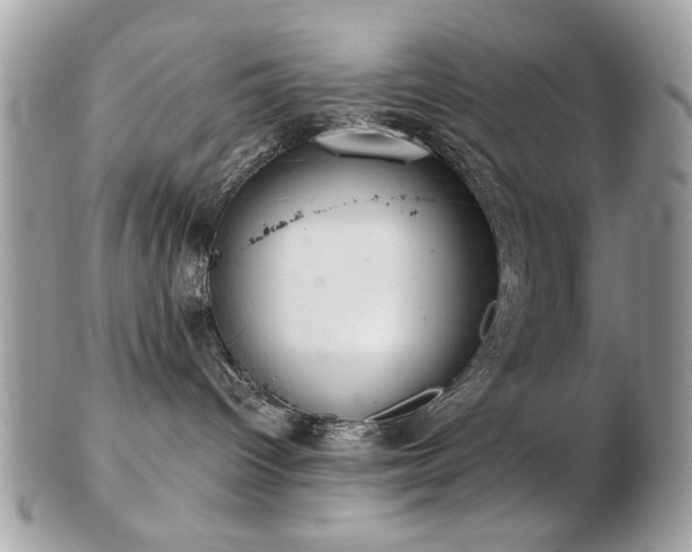 X0000103260096200808291227