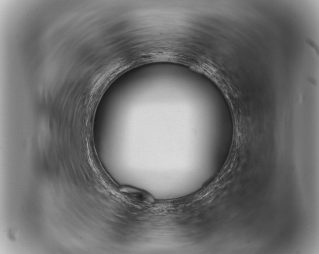 X0000103260097200808291227