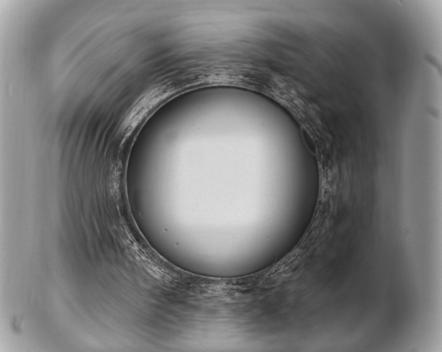 X0000103260098200808291227