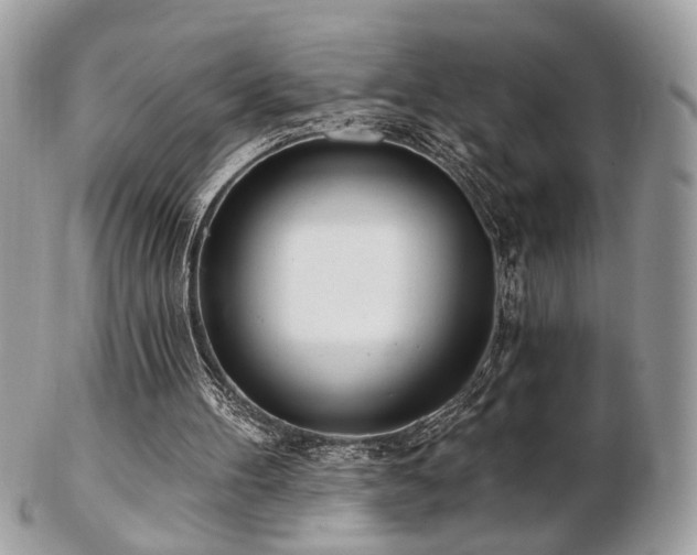 X0000103260100200808291227