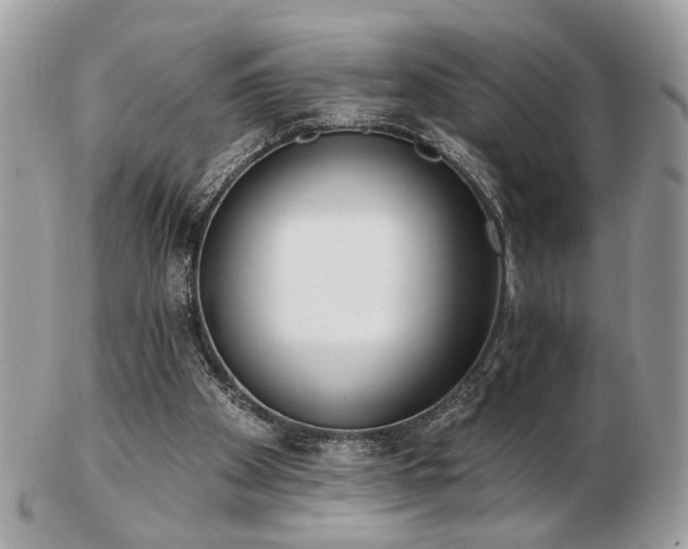 X0000103260105200808291227