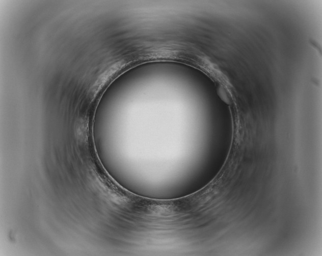 X0000103260107200808291226