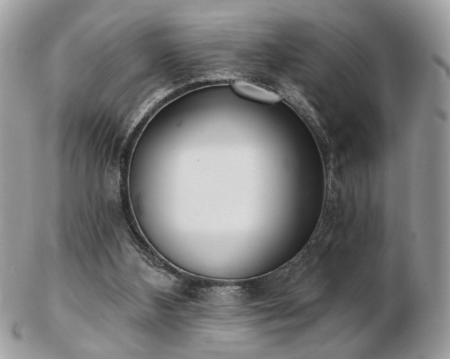 X0000103260108200808291226