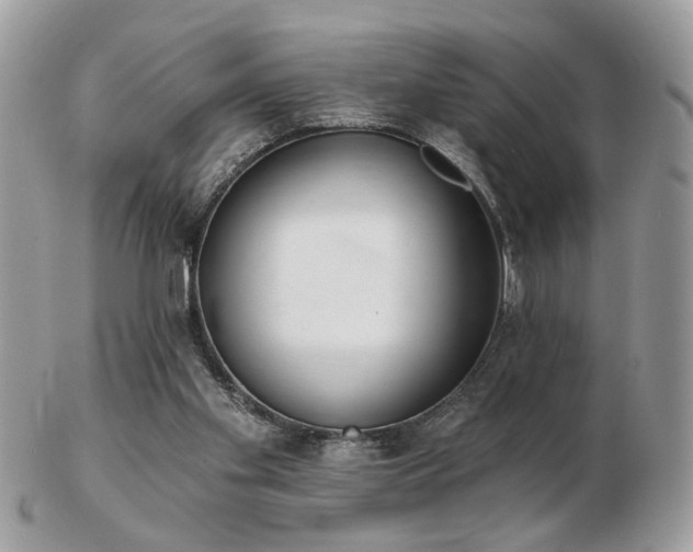 X0000103260109200808291226