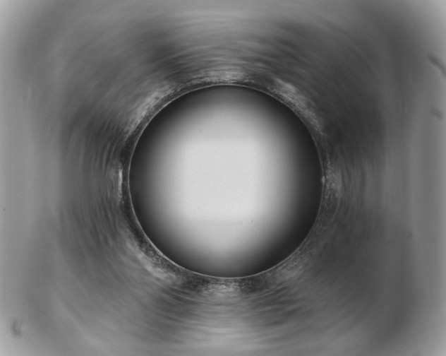 X0000103260110200808291226