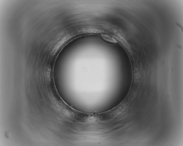 X0000103260111200808291226