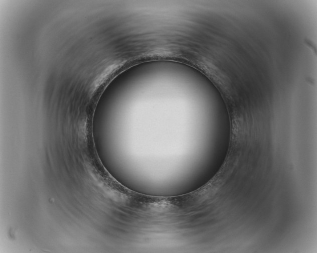 X0000103260112200808291226