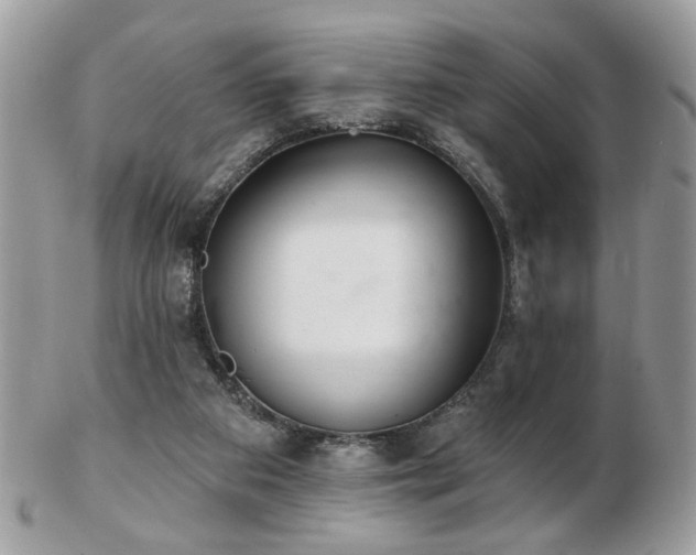 X0000103260113200808291226