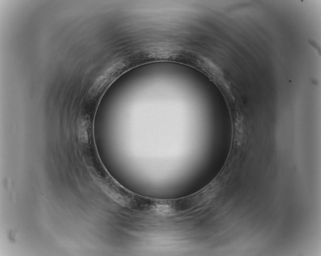 X0000103260114200808291226