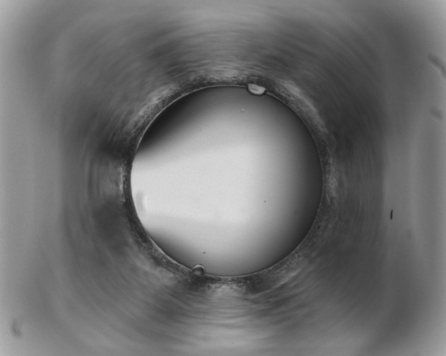 X0000103260115200808291226