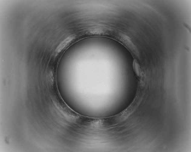 X0000103260116200808291226