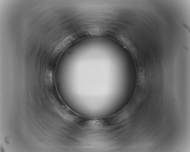 X0000103260117200808291226