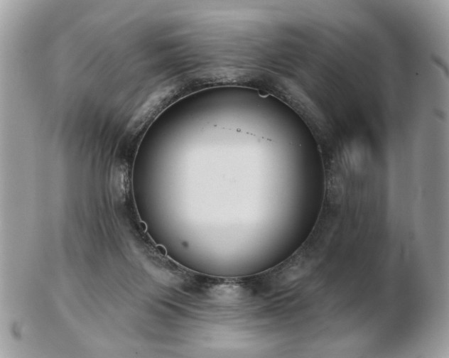 X0000103260119200808291226