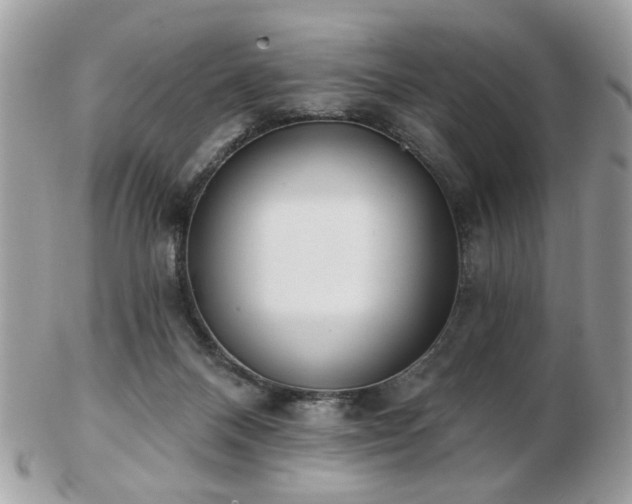 X0000103260120200808291226