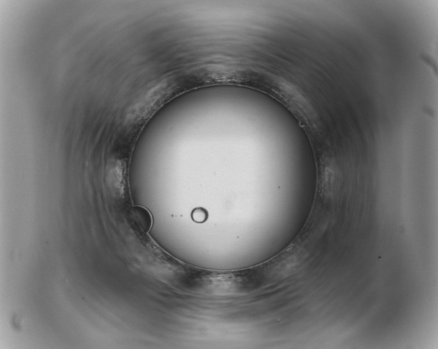 X0000103260121200808291226