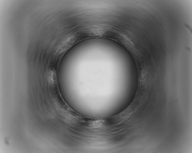 X0000103260122200808291226