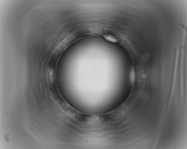 X0000103260123200808291226