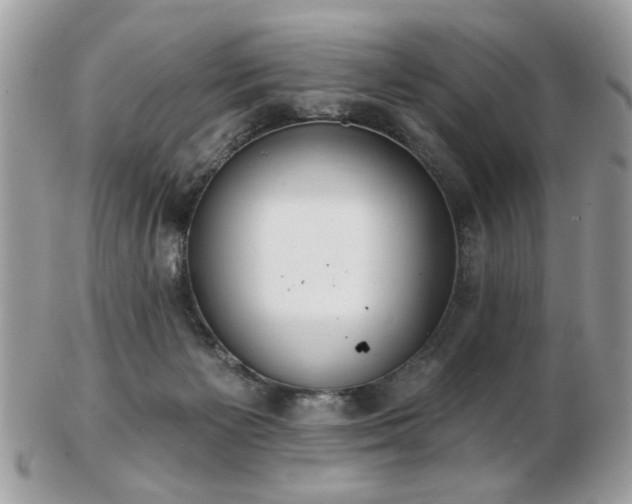 X0000103260125200808291226