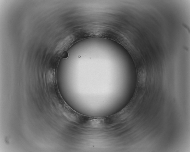 X0000103260126200808291226